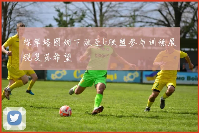 绿军塔图姆下放至G联盟参与训练展现复苏希望