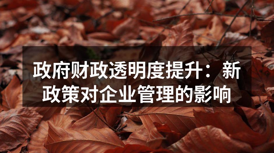 政府财政透明度提升：新政策对企业管理的影
