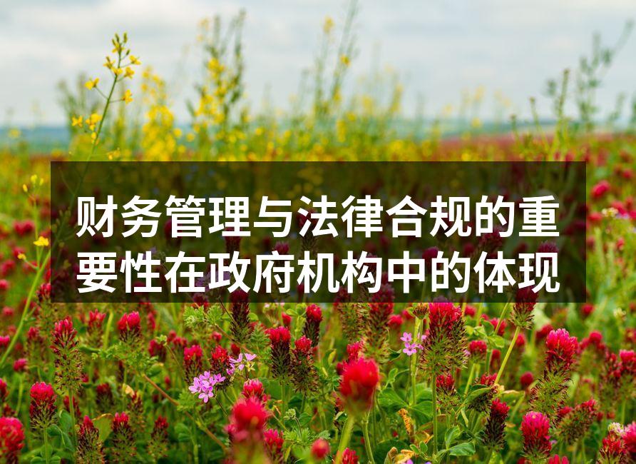 财务管理与法律合规的重要性在政府机构中的
