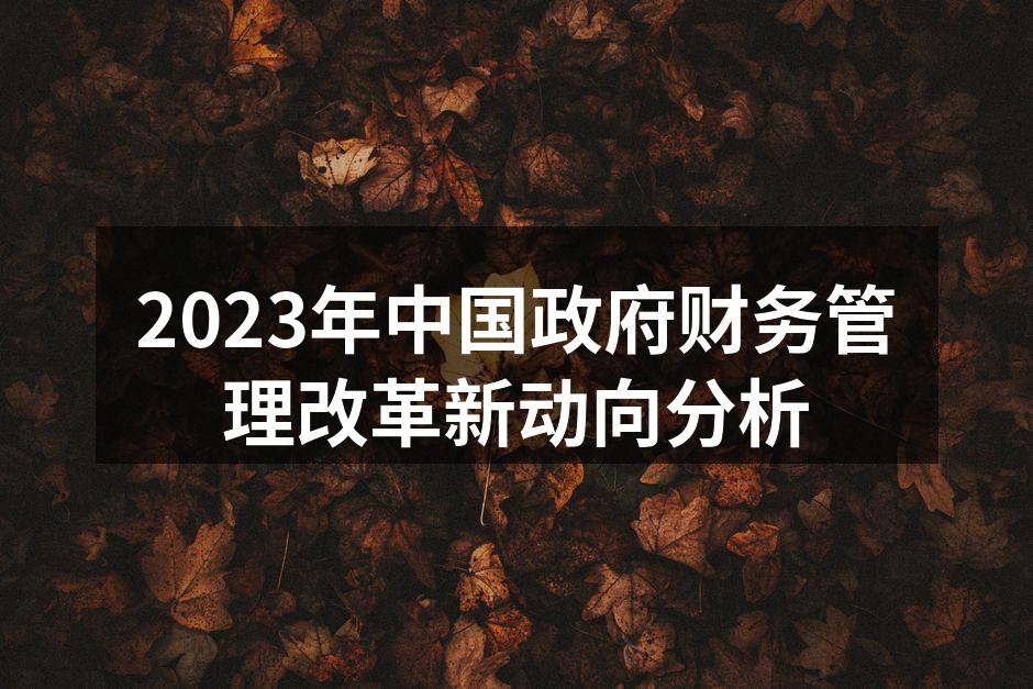 2023年中国政府财务管理改革新动向分析
