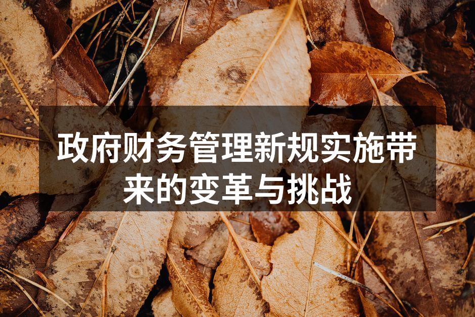政府财务管理新规实施带来的变革与挑战