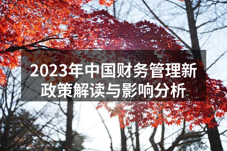 2023年中国财务管理新政策解读与影响分